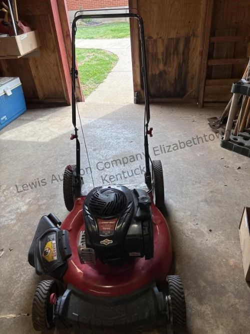 Lewis Auction